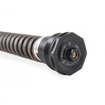 カートリッジフォークOhlins MT-09 TRACER 30mm。 nixの