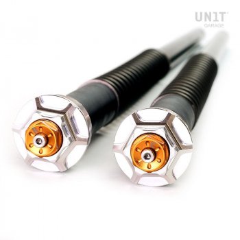 Bonneville用フォークカートリッジ