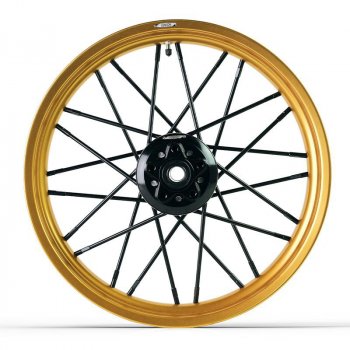 スポークホイールのペアR18、R18 B、トランスコンチネンタル24M9ゴールド