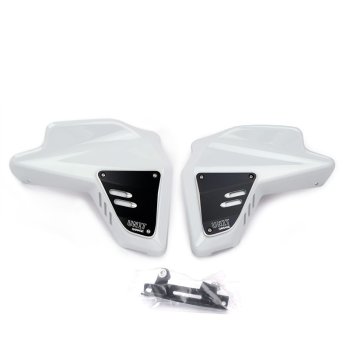 BMW R12 G/S ラジエーターサイドパネル
