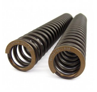 OhlinsフォークスプリングMT 09