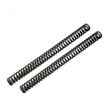 フォークスプリングR nineT