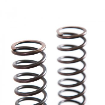 フォークスプリングストライアンフ